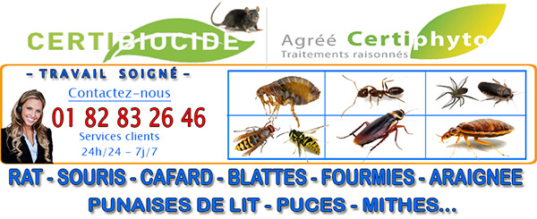 Nid de Guepes Bailly 78870